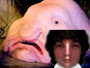 marreduban mdb monstre brise jvc