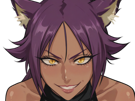 yoruichi-shihoin-bleach