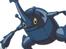 scarhino-heracross-heracros-pokemon-pkm-anime-jeu-type-insecte-combat-2g-johto-unicorne
