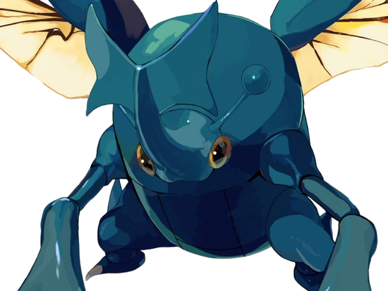 scarhino heracross heracros pokemon pkm anime jeu type insecte combat 2g johto unicorne