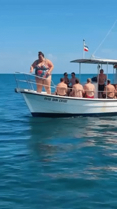 fat meal diet lbs kg transpi suer wet calor pese extra xxl four kilo tonne