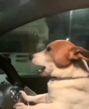 wake alarm alert snooze digit hang dring ding dong cloche mana tot bed nap aube