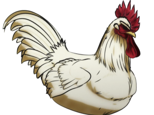 niwatori fighter rooster coq de baston keiji