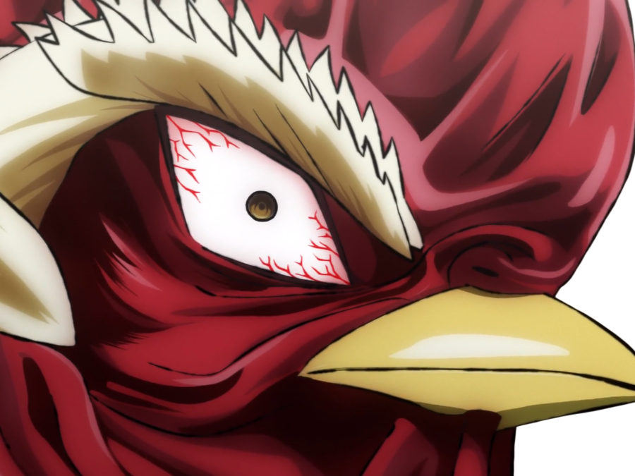 niwatori fighter rooster coq de baston keiji