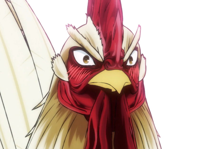 niwatori fighter rooster coq de baston keiji