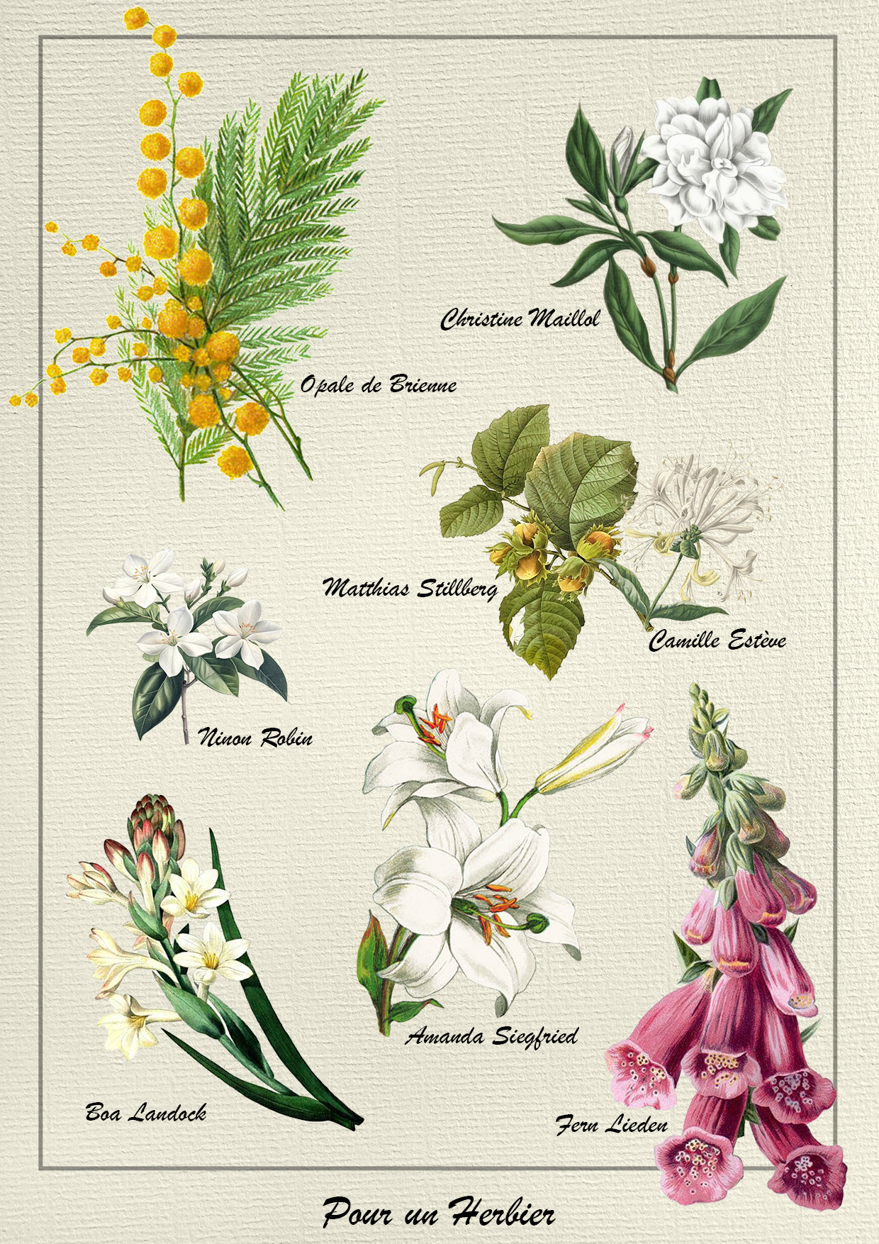 fic bloop bleach herbier opimissime fleur ninon amanda boa fern stillberg opale christine camille railroad