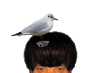 puceauetseul puceau seul mouette golem bas cheveux risitas naturelle ent ahi ayaaa qui lit ca