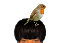 puceauetseul puceau seul golem bas narquois rougegorge rouge gorge oiseau oiseaux tete pioupiou ent issou