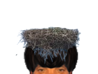 puceauetseul puceau seul golem bas nid oiseaux ahi ent issou