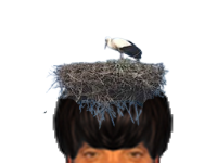 puceauetseul puceau seul golem bas naturelle nid cigogne oiseau oiseaux issou ent ahi ayaa a