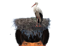 puceauetseul puceau seul golem bas naturelle nid cigogne oiseau oiseaux pioupiou issou ayaaaaa ent je