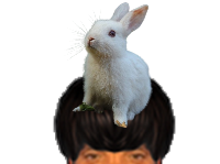 puceauetseul puceau seul golem bas naturelle issou ayaaaaa ent je lapin lapinou carotte