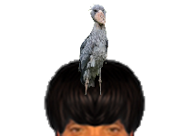 puceauetseul puceau seul golem bas naturelle issou ayaaaaa ent becensabotdunil bec en sabot du nil