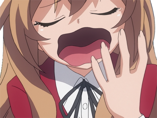 aisaka taiga kj kikoojap toradora anime sommeil