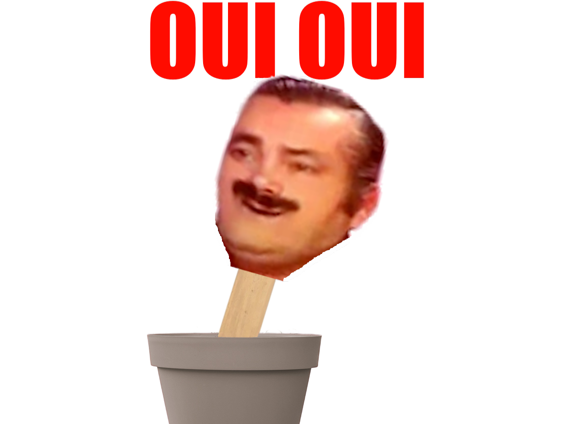 oui jecoute je suis la tres bien attentif present