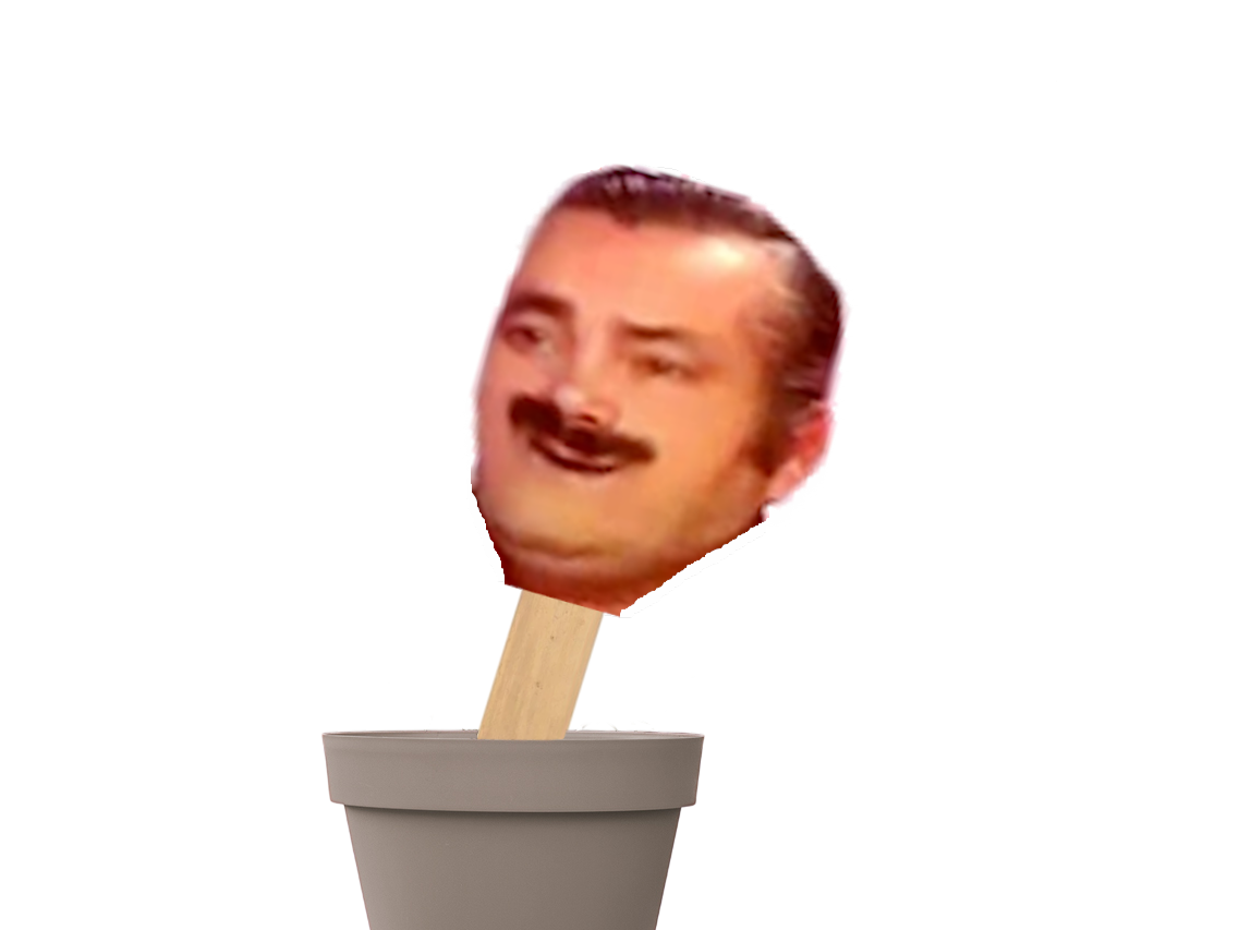 jecoute je suis la tres bien attentif present