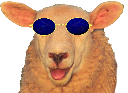 mouton laine mignon langue lunettes animal brebis oreilles cute