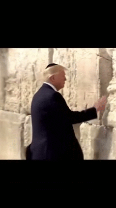 kipa potus 109 torah wwg1wga infiltre puppet corrupt isr aviv jeru traitor hat boot taco