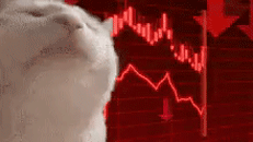 scam ponzi market stock biz etf dip tariff trade fall rojo alarm alert krach cata