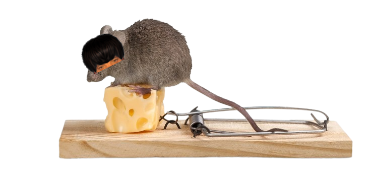 puceauetseul puceau seul bas golem naturelle piege souris fromage