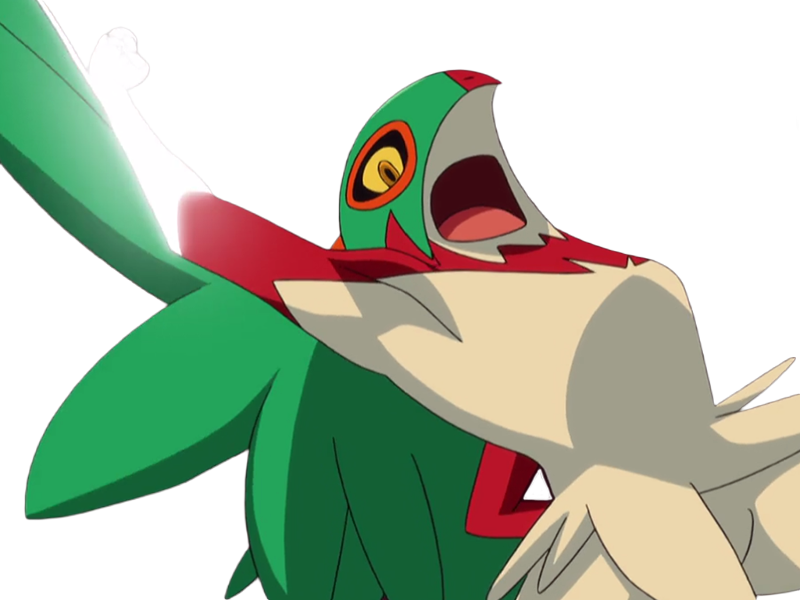 brutalibre hawlucha luchabull pkm anime jeu type combat vol 6g kalos catcheur