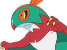 brutalibre-hawlucha-luchabull-pkm-anime-jeu-type-combat-vol-6g-kalos-catcheur