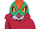 brutalibre-hawlucha-luchabull-pkm-anime-jeu-type-combat-vol-6g-kalos-catcheur