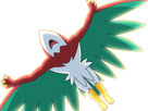 brutalibre-hawlucha-luchabull-pkm-anime-jeu-type-combat-vol-6g-kalos-catcheur
