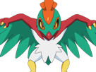 brutalibre-hawlucha-luchabull-pkm-anime-jeu-type-combat-vol-6g-kalos-catcheur