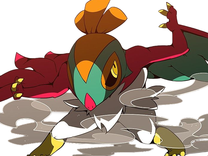 brutalibre hawlucha luchabull pkm anime jeu type combat vol 6g kalos catcheur