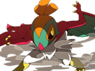 brutalibre-hawlucha-luchabull-pkm-anime-jeu-type-combat-vol-6g-kalos-catcheur
