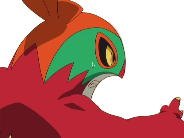 brutalibre hawlucha luchabull pkm anime jeu type combat vol 6g kalos catcheur