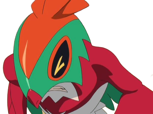 brutalibre hawlucha luchabull pkm anime jeu type combat vol 6g kalos catcheur