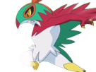 brutalibre-hawlucha-luchabull-pkm-anime-jeu-type-combat-vol-6g-kalos-catcheur