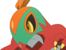 brutalibre-hawlucha-luchabull-pkm-anime-jeu-type-combat-vol-6g-kalos-catcheur
