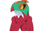 brutalibre-hawlucha-luchabull-pkm-anime-jeu-type-combat-vol-6g-kalos-catcheur