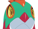 brutalibre-hawlucha-luchabull-pkm-anime-jeu-type-combat-vol-6g-kalos-catcheur