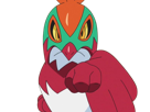 brutalibre-hawlucha-luchabull-pkm-anime-jeu-type-combat-vol-6g-kalos-catcheur