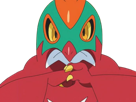 brutalibre-hawlucha-luchabull-pkm-anime-jeu-type-combat-vol-6g-kalos-catcheur