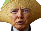 donald-trump-taco-tacos-always-chicken-out-orange-trompe-trompette