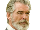 pierce-brosnan-acteur-producteur-irlandais-americain-james-bond-007-classe-charme-british