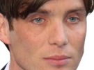 cillian-murphy-acteur-homme-musicien-irlandais-jeune-28-jours-plus-tard