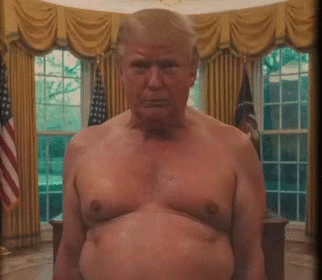 irgc bison artifice mortier hormuz detroit orient mollah perse teheran khamenei petrol shah saudi bibi