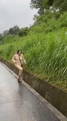 avale dej goute midi pred dine yum gobe tiger slurp hungry assaut damage harm injury