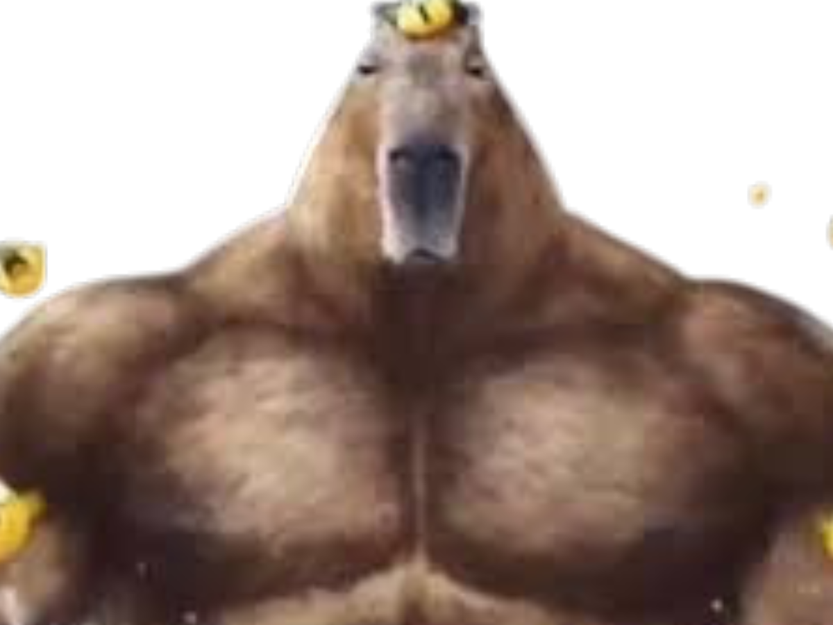 capybara onsen yuzu rongeur cabiai detente orange mandarine clementine gigachad giga chad muscle