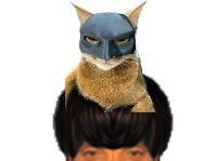 puceauetseul puceau seul bas golem naturelle chat orange batman super pouvoirs miaou kitty kitten minou