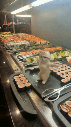 yum jeun dej meal goute tacos durum doner crepe sandwich bacon cheese steak fritent frit