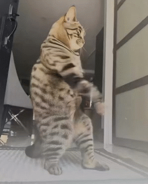 bier def drunk vino despe cerveza dui soiree feria fiesta teuf apero taux bday anniv