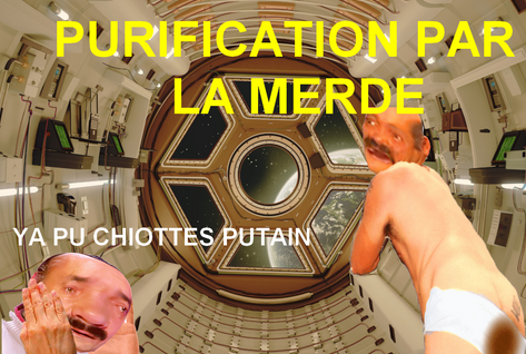 artemis purification merde