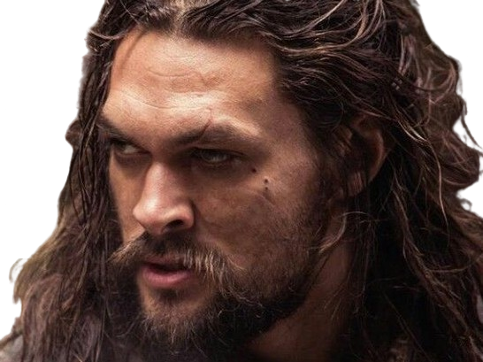 jason momoa acteur americain hawaiien alerteamalibu stargate atlantis aquaman fastandfurious dune gameofthrones